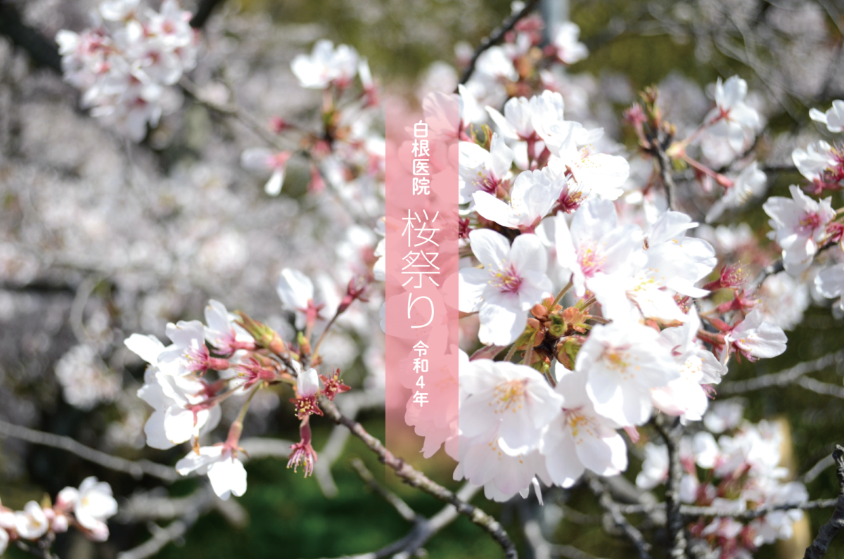 桜祭り 令和4年