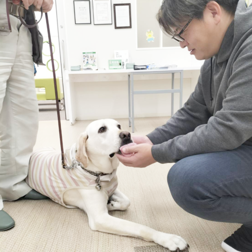 盲導犬啓発ブース 2